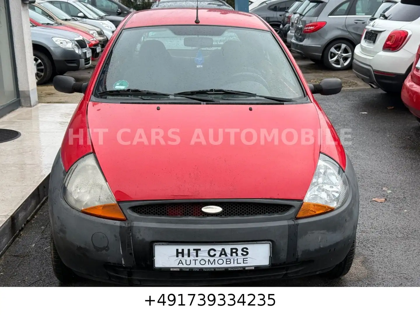 Ford Ka/Ka+ Basis Rot - 2