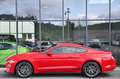 Ford Mustang Coupe 2.3 EcoBoost Aut. Navi* Premium 2* Rot - thumbnail 7