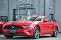 Ford Mustang Coupe 2.3 EcoBoost Aut. Navi* Premium 2* Rot - thumbnail 32