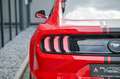 Ford Mustang Coupe 2.3 EcoBoost Aut. Navi* Premium 2* Rot - thumbnail 27