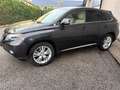 Lexus RX 450h RX 450h 3.5 Ambassador 4x4 Nero - thumbnail 2