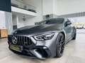 Mercedes-Benz AMG GT 63 Performance Gris - thumbnail 1