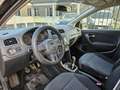 Volkswagen Polo 1.4 5 porte Comfortline Nero - thumbnail 6