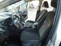 Ford Grand C-Max 1.5 Tdci Business 7 posti*Navigatore*Sens Park* Argento - thumbnail 7