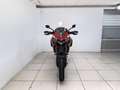 Ducati Multistrada 950 Red Rot - thumbnail 3