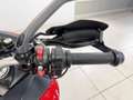 Ducati Multistrada 950 Red Rot - thumbnail 10
