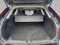 Volvo XC60 XC60 B4 Plus-Dark Aut Glasd Nappaleder-Perforiert Schwarz - thumbnail 3
