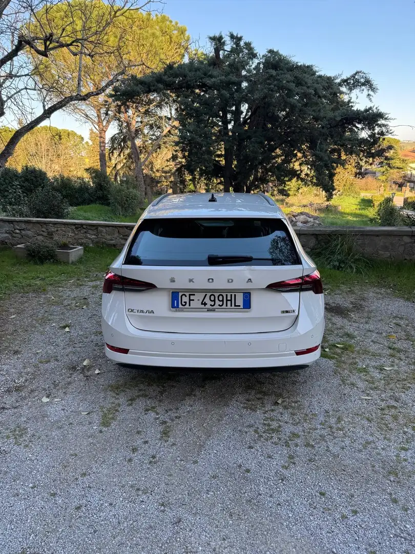 Skoda Octavia Octavia IV 2020 WagonWagon 1.5 g-tec 130cvdsg Ex Bianco - 2