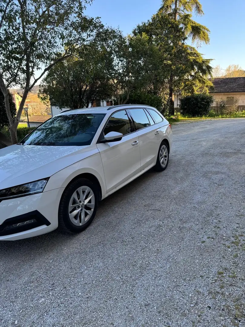 Skoda Octavia Octavia IV 2020 WagonWagon 1.5 g-tec 130cvdsg Ex Bianco - 1