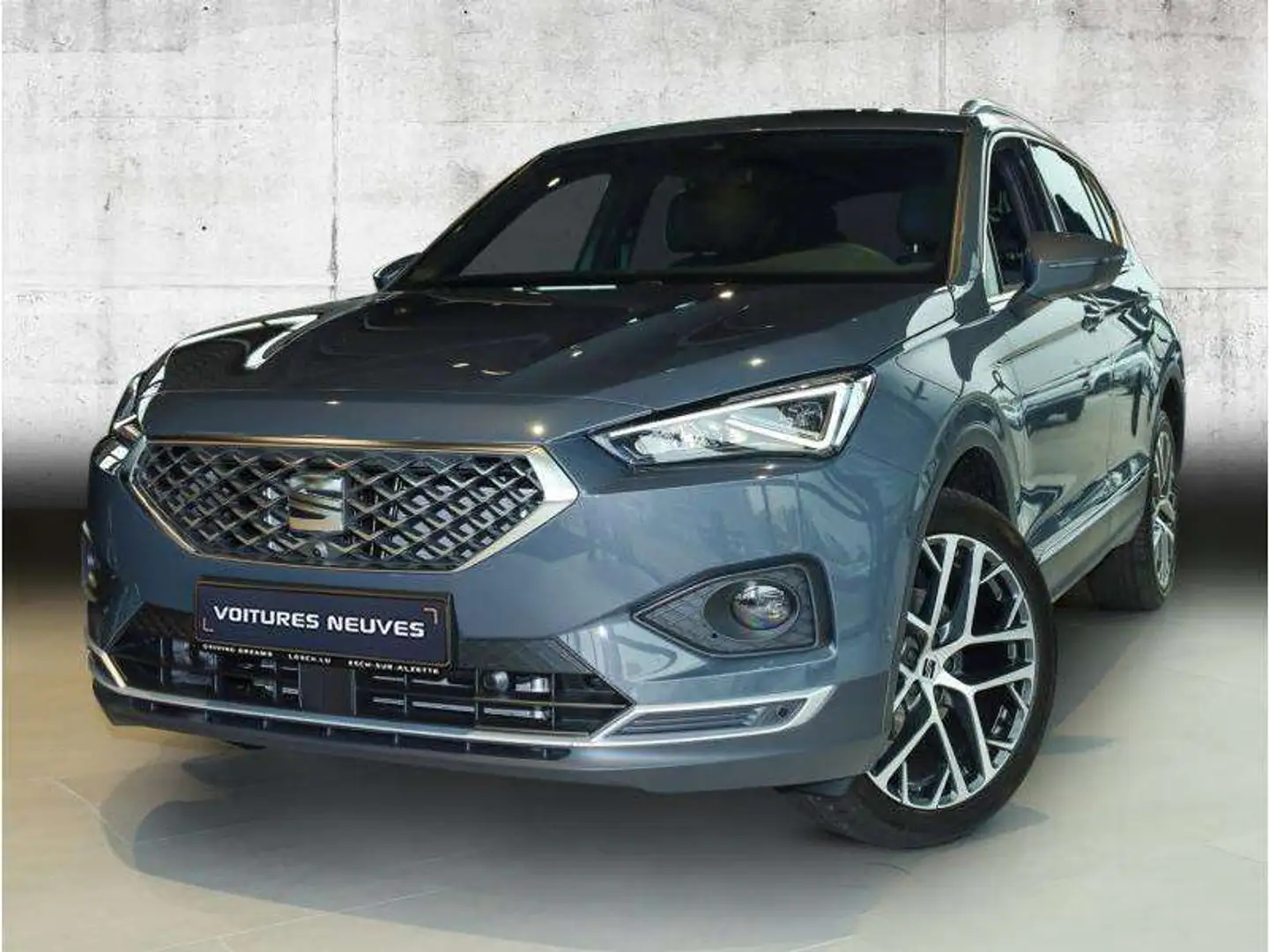 SEAT Tarraco Xperience Gris - 2