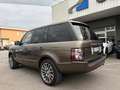 Land Rover Range Rover 4.4 tdV8 Autobiography auto Marrone - thumbnail 6