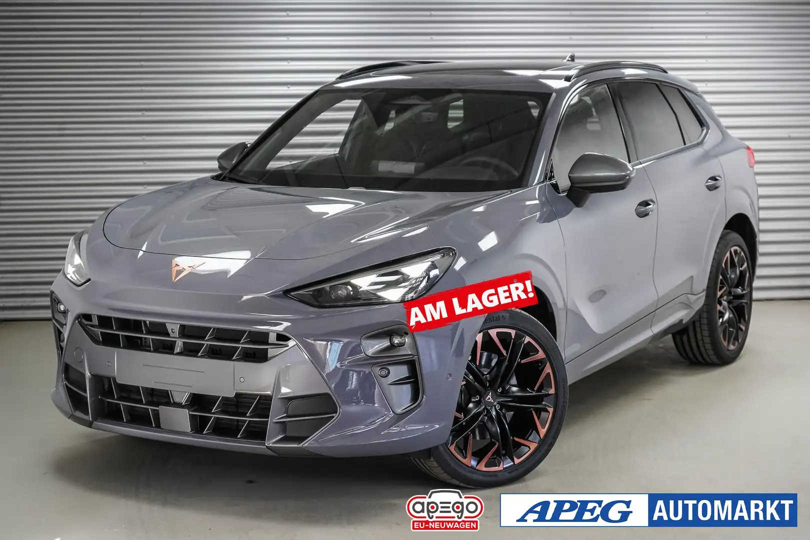 CUPRA Terramar 2,0 TSI DSG 4Drive VZ Gris - 1
