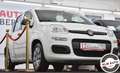 Fiat Panda 1.2 Lounge Bianco - thumbnail 2