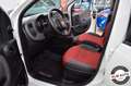 Fiat Panda 1.2 Lounge Bianco - thumbnail 10