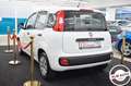 Fiat Panda 1.2 Lounge Bianco - thumbnail 6