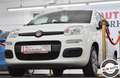 Fiat Panda 1.2 Lounge Bianco - thumbnail 4