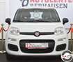 Fiat Panda 1.2 Lounge Bianco - thumbnail 1