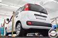 Fiat Panda 1.2 Lounge Bianco - thumbnail 7