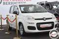Fiat Panda 1.2 Lounge Bianco - thumbnail 3