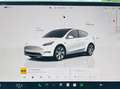 Tesla Model Y Model Y RWD 58 kWh Wit - thumbnail 20