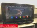 SEAT Leon SP 1.5 eTSI DSG FR AB 169EUR NAVI KAMERA SHZ Grau - thumbnail 21