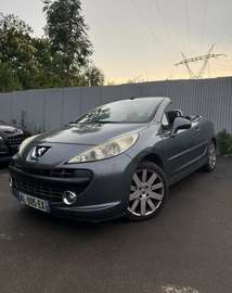 1.6 110 cv féline