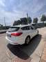 Ford Focus 1.5 ecoblue Vignale Co-pilot s&s 120cv auto - thumbnail 4