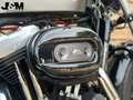 Harley-Davidson Sportster Forty Eight XL 1200 X Grijs - thumbnail 10