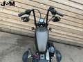 Harley-Davidson Sportster Forty Eight XL 1200 X Grijs - thumbnail 17