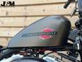 Harley-Davidson Sportster Forty Eight XL 1200 X Grijs - thumbnail 11