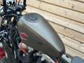 Harley-Davidson Sportster Forty Eight XL 1200 X Grijs - thumbnail 9