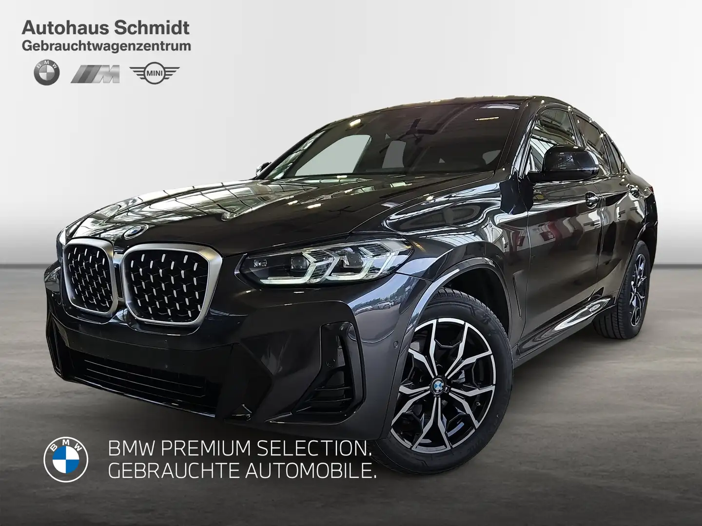 BMW X4 xDrive20d M Sportpaket*DAB*LED*AHK*WLAN* Grijs - 1