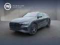 Audi Q8 55 TFSI e quattro Grau - thumbnail 1