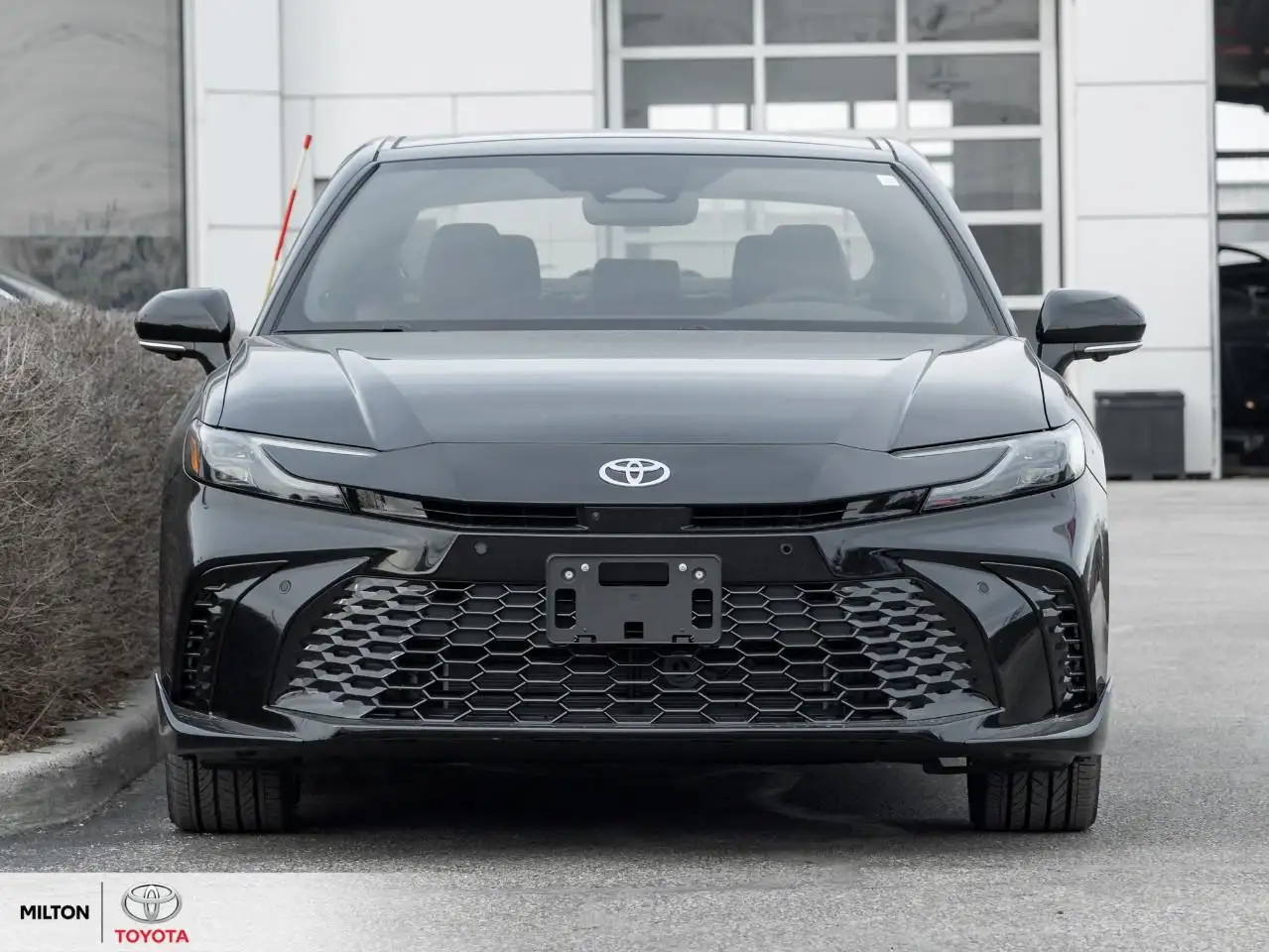 Toyota Camry photo Toyota Camry