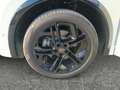 Volkswagen Tiguan R-Line TSI 4MOTION DSG Weiß - thumbnail 14