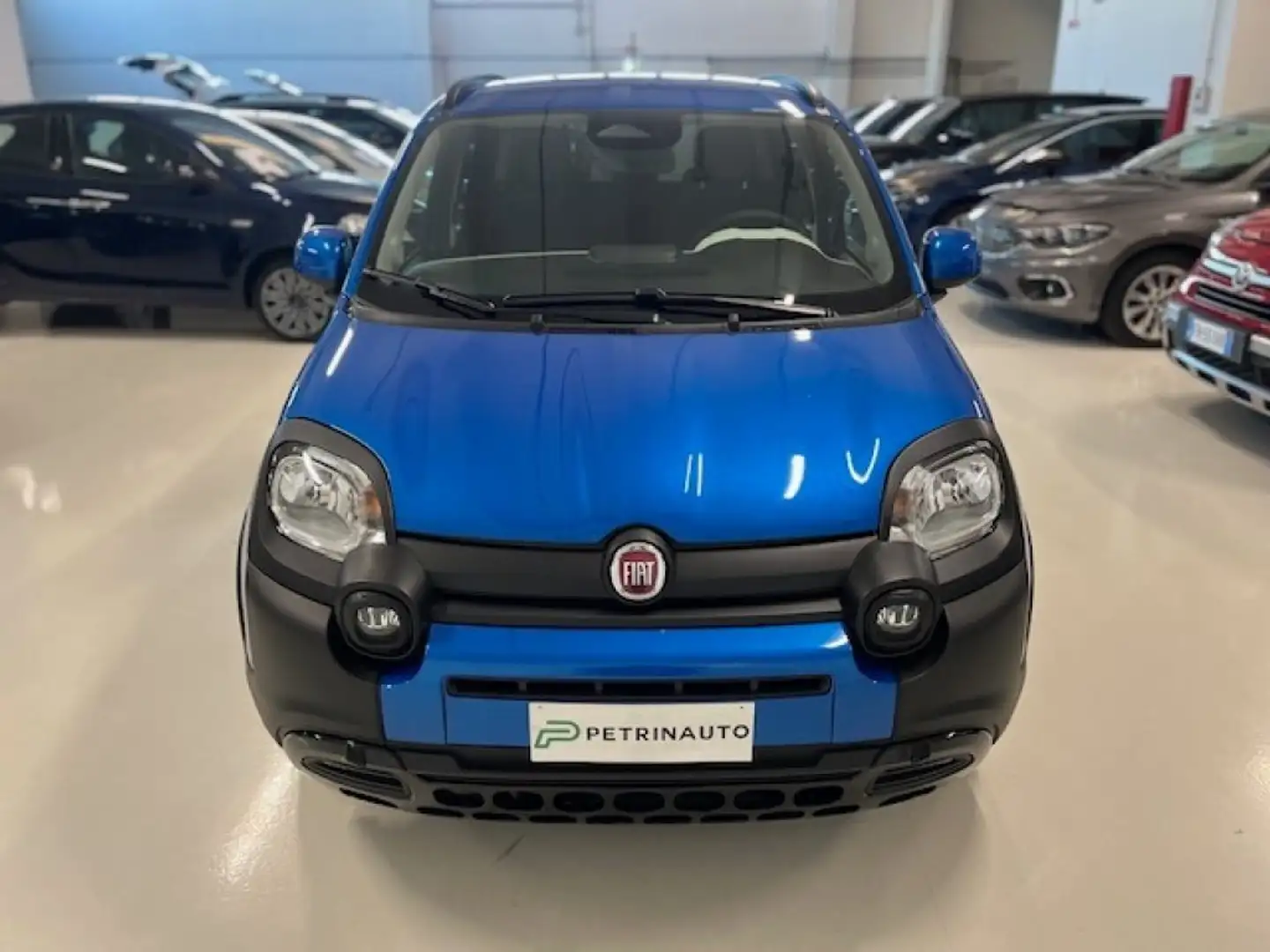 Fiat Panda 1.0 FireFly S&S Hybrid Pandina 5 Posti Km.0 Niebieski - 2