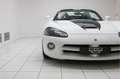 Dodge Viper SRT-10 Roadster * 8.3 V10 * Soft-top * Perfect * Wit - thumbnail 20
