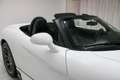 Dodge Viper SRT-10 Roadster * 8.3 V10 * Soft-top * Perfect * Wit - thumbnail 29