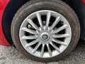 Alfa Romeo MiTo 1.4 Progression 78cv E6 Rosso - thumbnail 5
