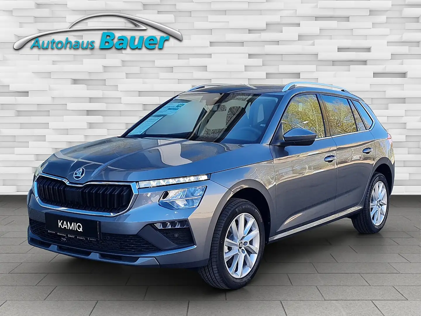 Skoda Kamiq 1,0 TSI Selection DSG Grau - 1