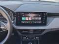 Skoda Kamiq 1,0 TSI Selection DSG Grau - thumbnail 13