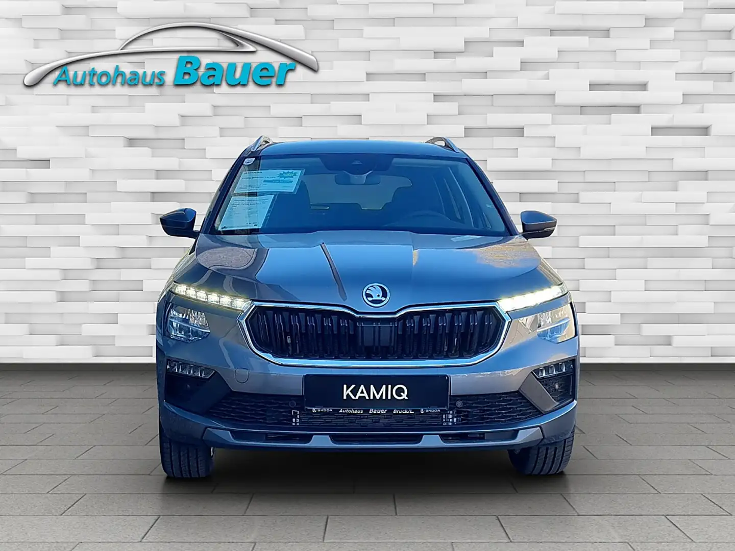Skoda Kamiq 1,0 TSI Selection DSG Grau - 2