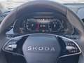 Skoda Kamiq 1,0 TSI Selection DSG Grau - thumbnail 12