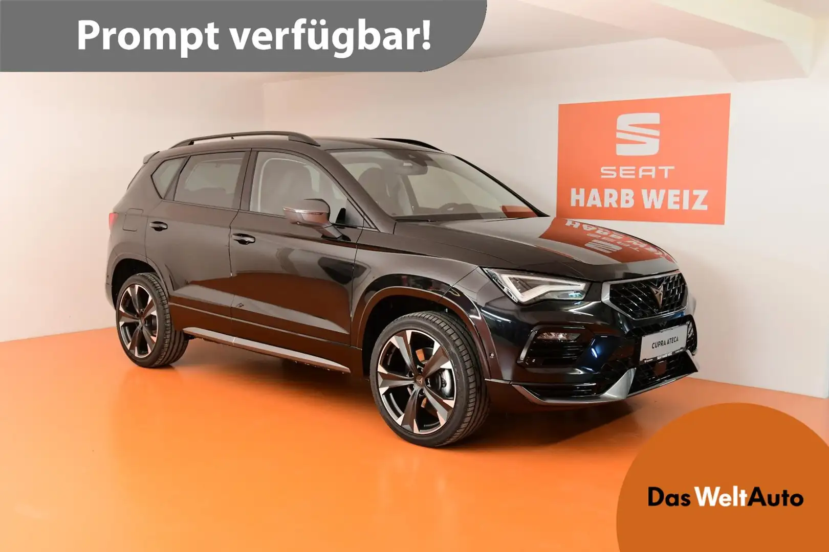 CUPRA Ateca 2.0 TSI DSG 4Drive 190 Schwarz - 1
