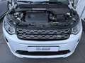 Land Rover Discovery Sport P300e 1.5 R-Dynamic S * Navi * Duoleer * 20" Wit - thumbnail 25