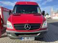 Mercedes-Benz Sprinter 316 Benziner NGT Erdgas Transporter Van Bus Rot - thumbnail 3