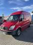 Mercedes-Benz Sprinter 316 Benziner NGT Erdgas Transporter Van Bus Rot - thumbnail 1