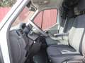Opel Movano Cargo Edition L3H2 2.3 Diesel 3,5t Allwette Bianco - thumbnail 13