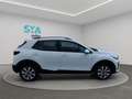 Kia Stonic 1.2 DPi 62kW (84CV) Drive Wit - thumbnail 14
