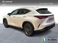 Lexus NX 350h PREMIUM PLUS Blanco - thumbnail 3